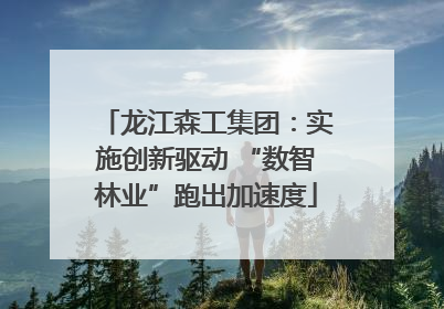龙江森工集团：实施创新驱动 “数智林业”跑出加速度